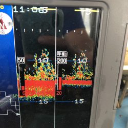 深川　吉野屋 釣果