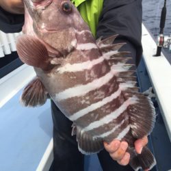 松栄丸 釣果