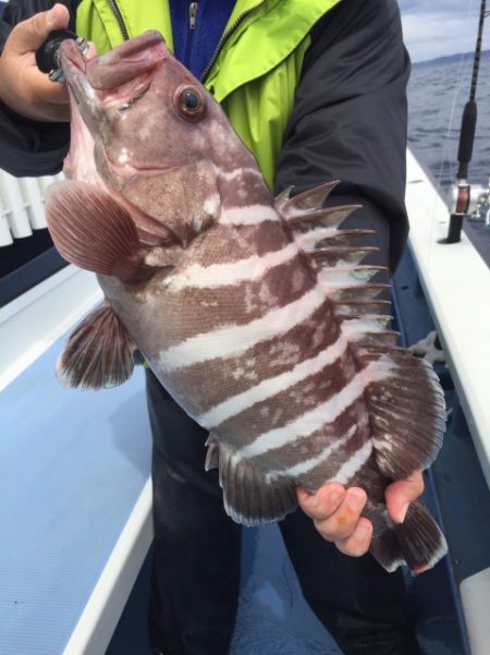 松栄丸 釣果