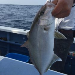 松栄丸 釣果