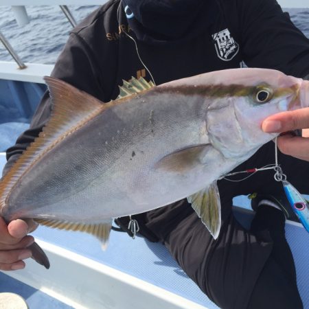 松栄丸 釣果