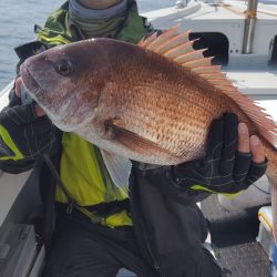 海峰 釣果