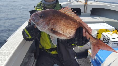 海峰 釣果