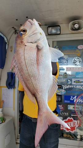 遊漁船　ニライカナイ 釣果