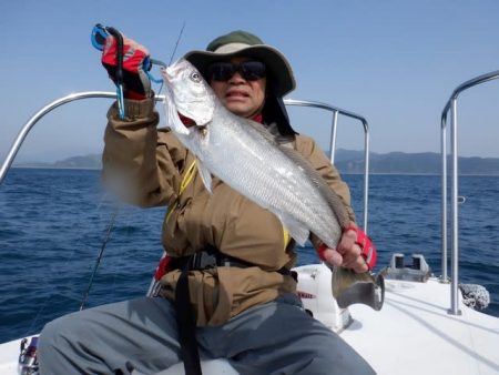 開進丸 釣果