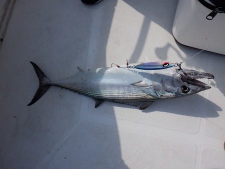 開進丸 釣果