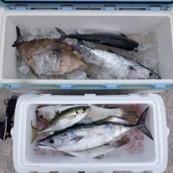 開進丸 釣果