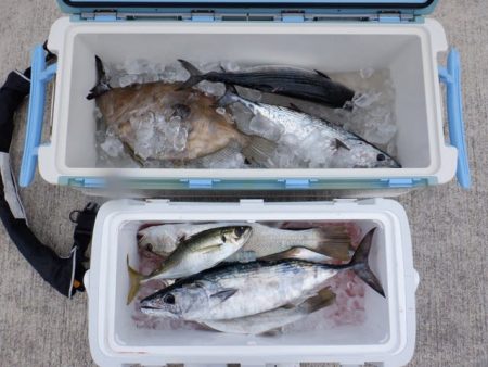 開進丸 釣果