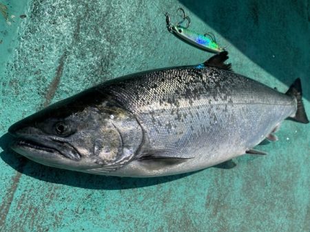 広進丸 釣果