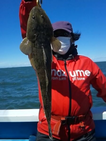 さわ浦丸 釣果