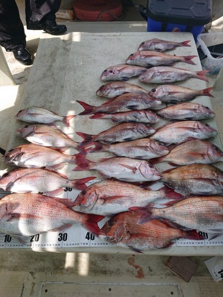 たかみ丸 釣果