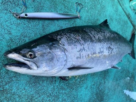 広進丸 釣果