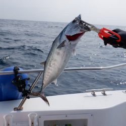 開進丸 釣果