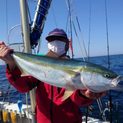 ブルーズ 釣果