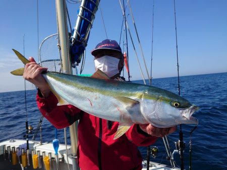 ブルーズ 釣果