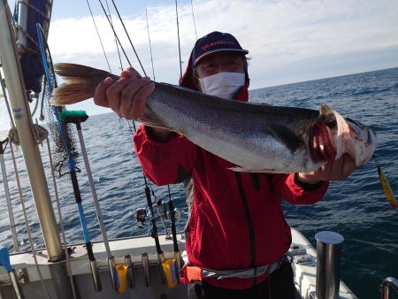 ブルーズ 釣果