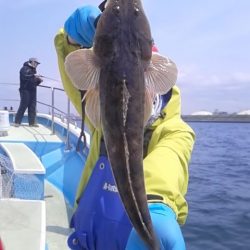 さわ浦丸 釣果