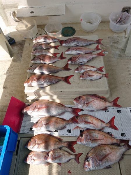 たかみ丸 釣果