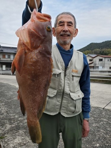 桑田観光 釣果