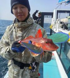 東京湾探釣隊ぼっち 釣果