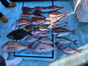 東京湾探釣隊ぼっち 釣果