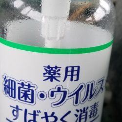 進誠丸 釣果