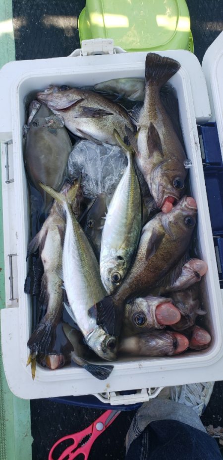 海龍丸（石川） 釣果