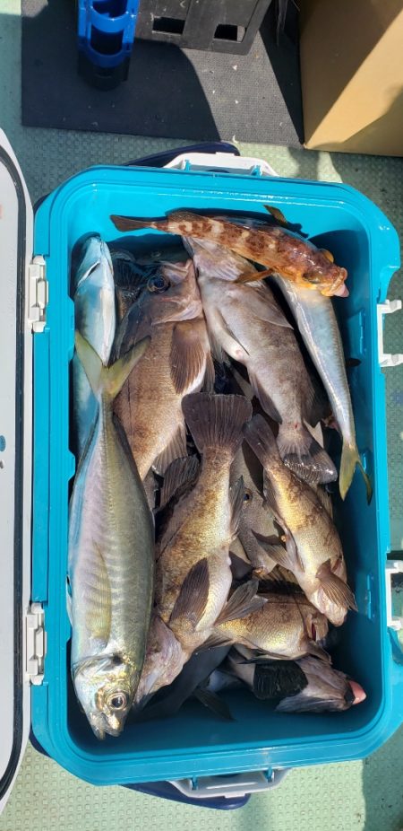 海龍丸（石川） 釣果