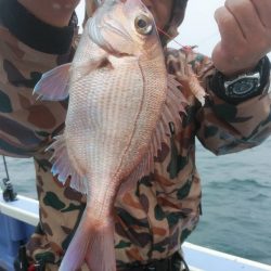 新幸丸 釣果