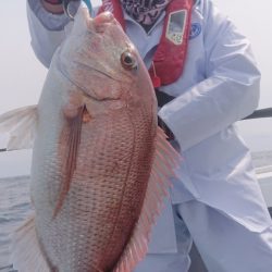 だて丸 釣果