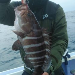 新幸丸 釣果