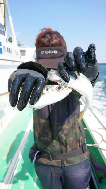 金沢八景鴨下丸 釣果