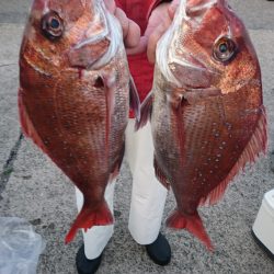 第三共栄丸 釣果