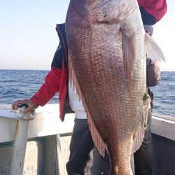 だて丸 釣果