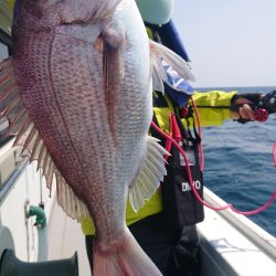 だて丸 釣果