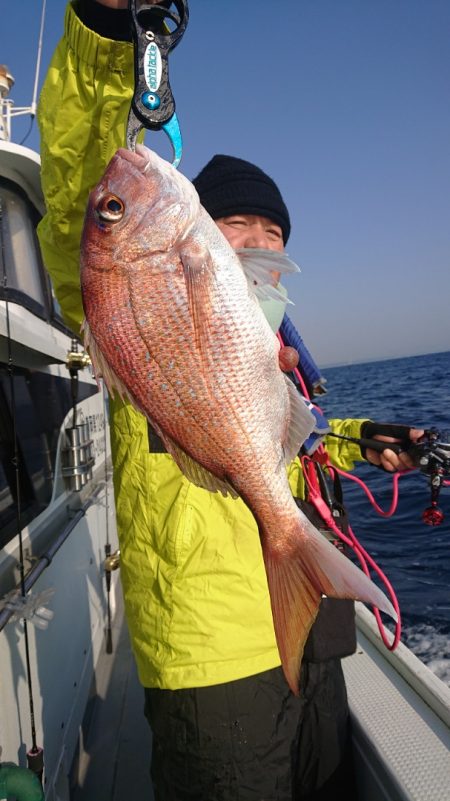 だて丸 釣果