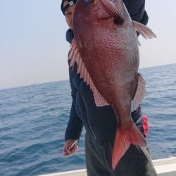 だて丸 釣果