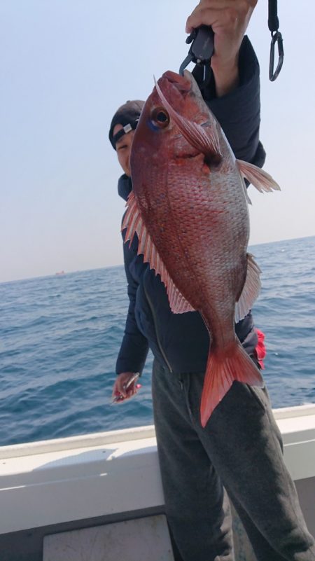 だて丸 釣果