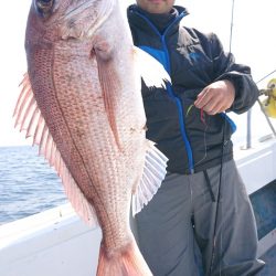 だて丸 釣果