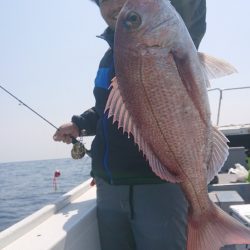 だて丸 釣果