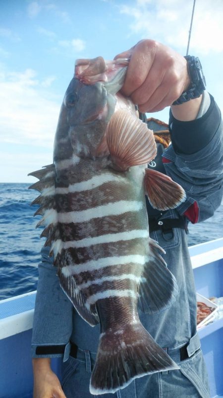 新幸丸 釣果