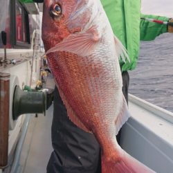 だて丸 釣果