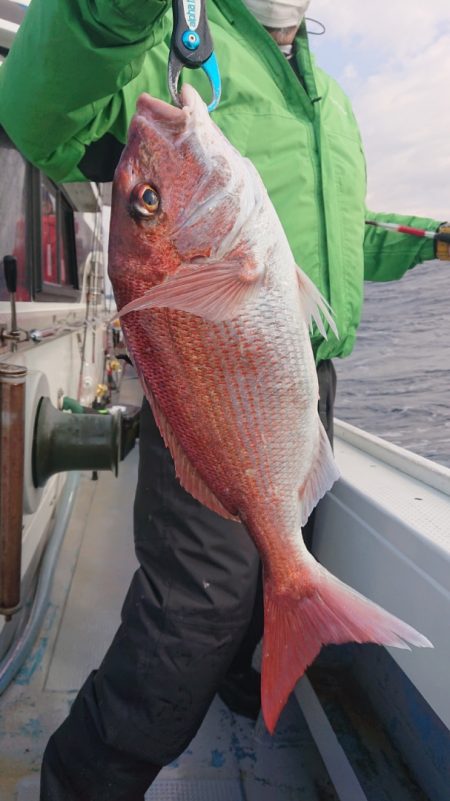 だて丸 釣果