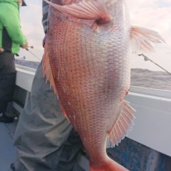 だて丸 釣果