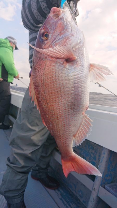 だて丸 釣果