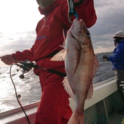 だて丸 釣果