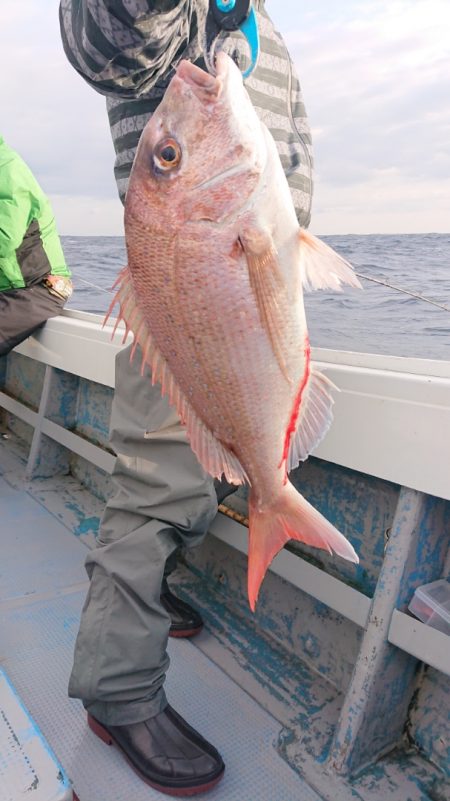 だて丸 釣果