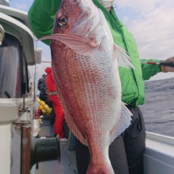 だて丸 釣果