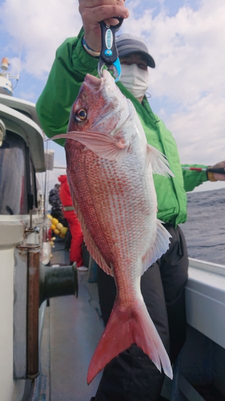 だて丸 釣果