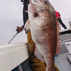 だて丸 釣果